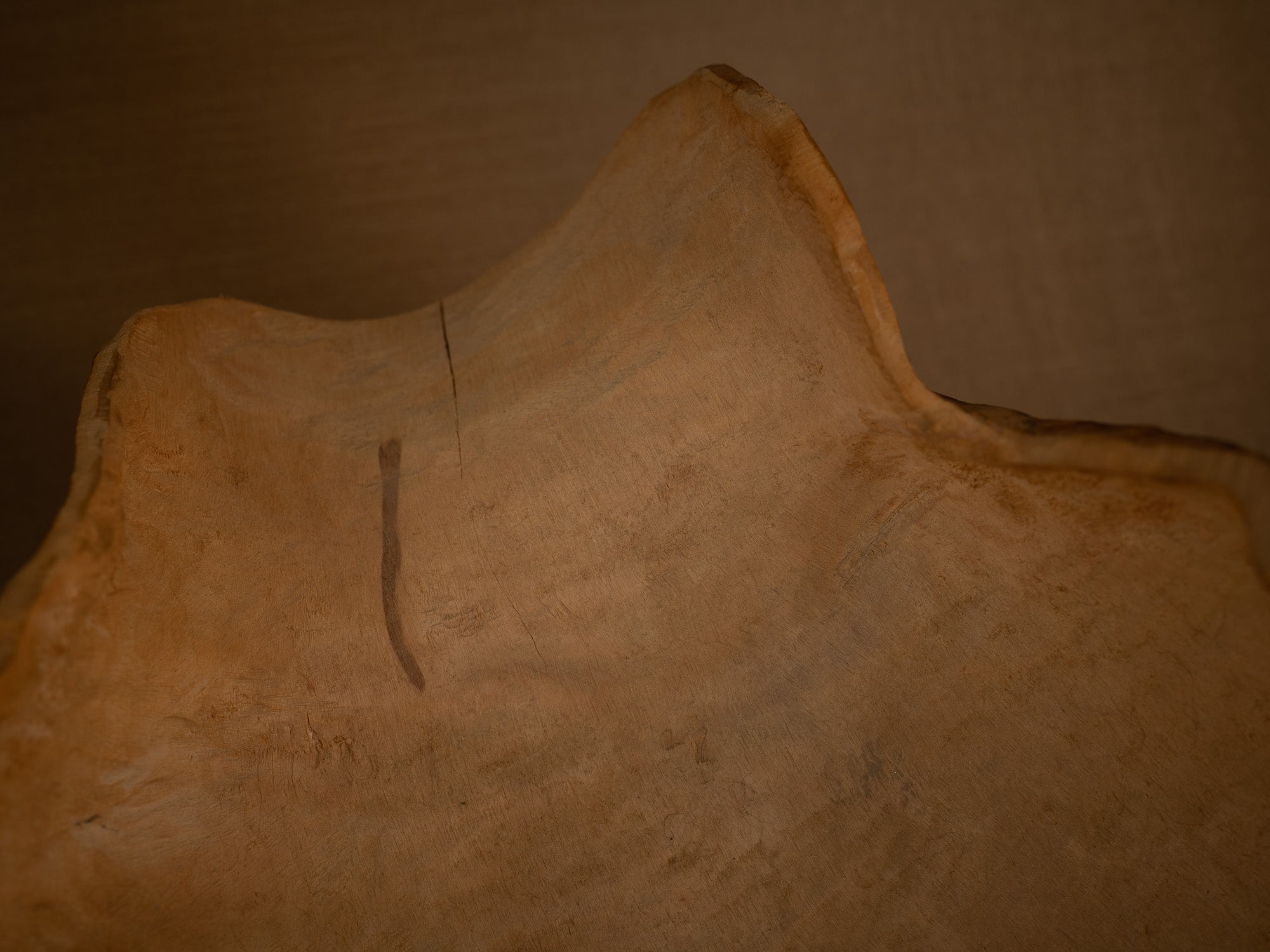 Immense coupe paysanne monoxyle en broussin de bouleau, Suède (milieu du XXe siècle)..Giant peasant birch burl bowl, Sweden (mid 20th century)