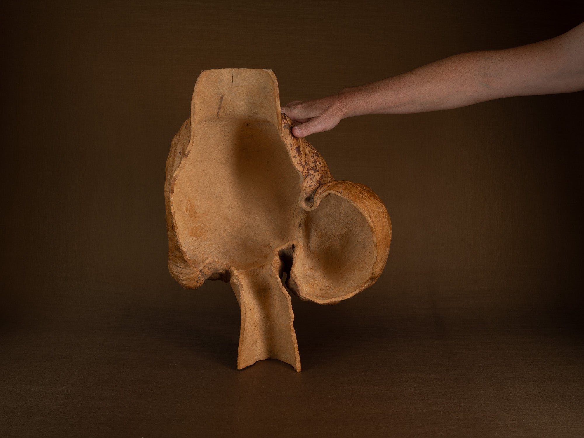 Immense coupe paysanne monoxyle en broussin de bouleau, Suède (milieu du XXe siècle)..Giant peasant birch burl bowl, Sweden (mid 20th century)