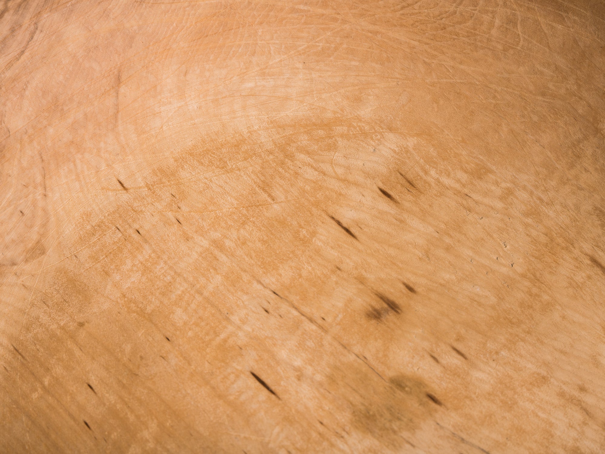Rare et ancienne coupe de mariage en bouleau, art paysan, Norvège (XIXe siècle)..Unique Old birchwood carved wedding bowl, Peasant art, Norway (19th century)