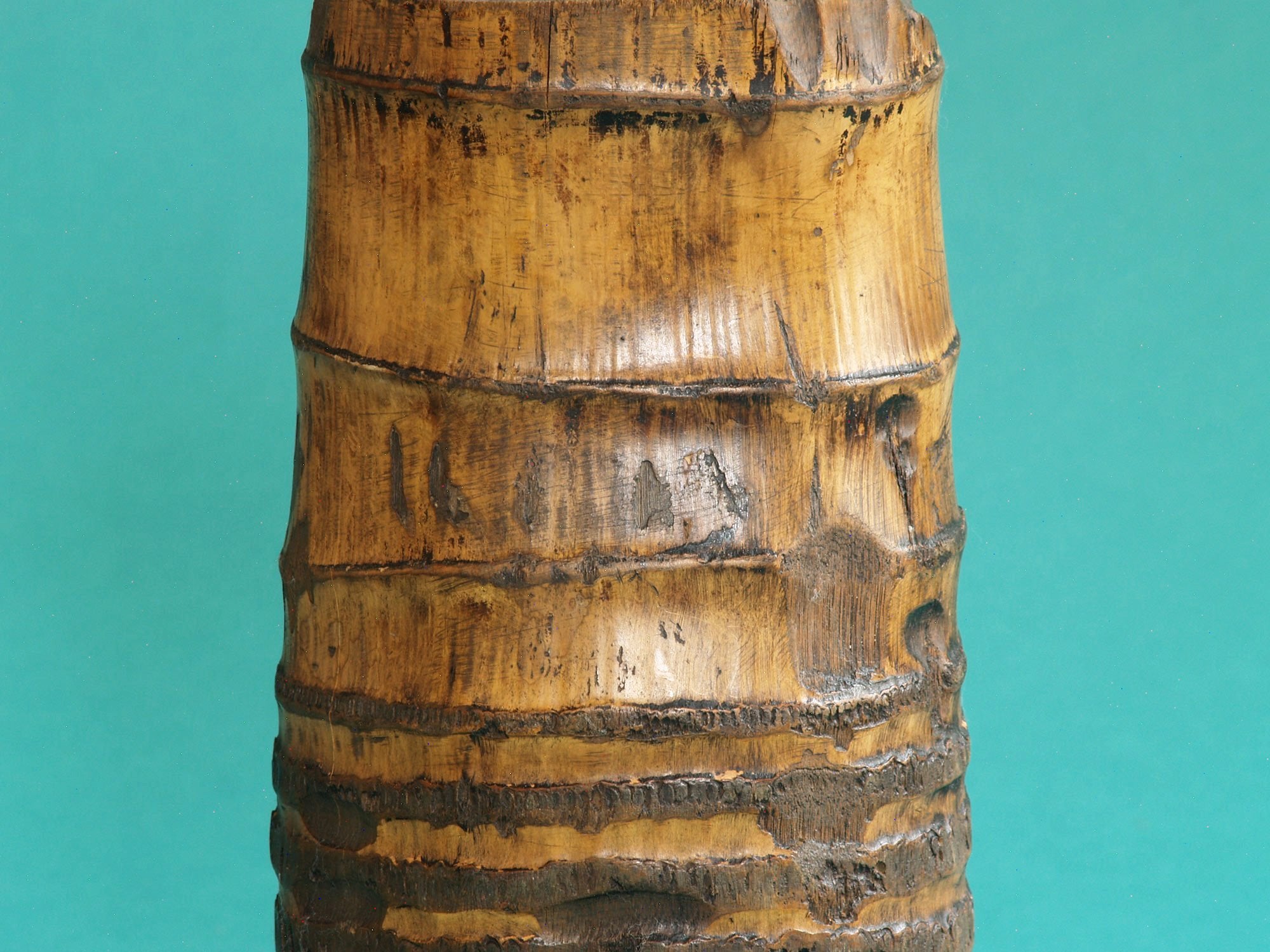 Take-zutsu hanaire, Rare vase en bambou pour la cérémonie du thé à la manière de Rikyū, Japon (Période Edo)..Take-zutsu Hanaire Bamboo vase for tea ceremony chabana in the manner of Rikyū, Japan (Edo period)