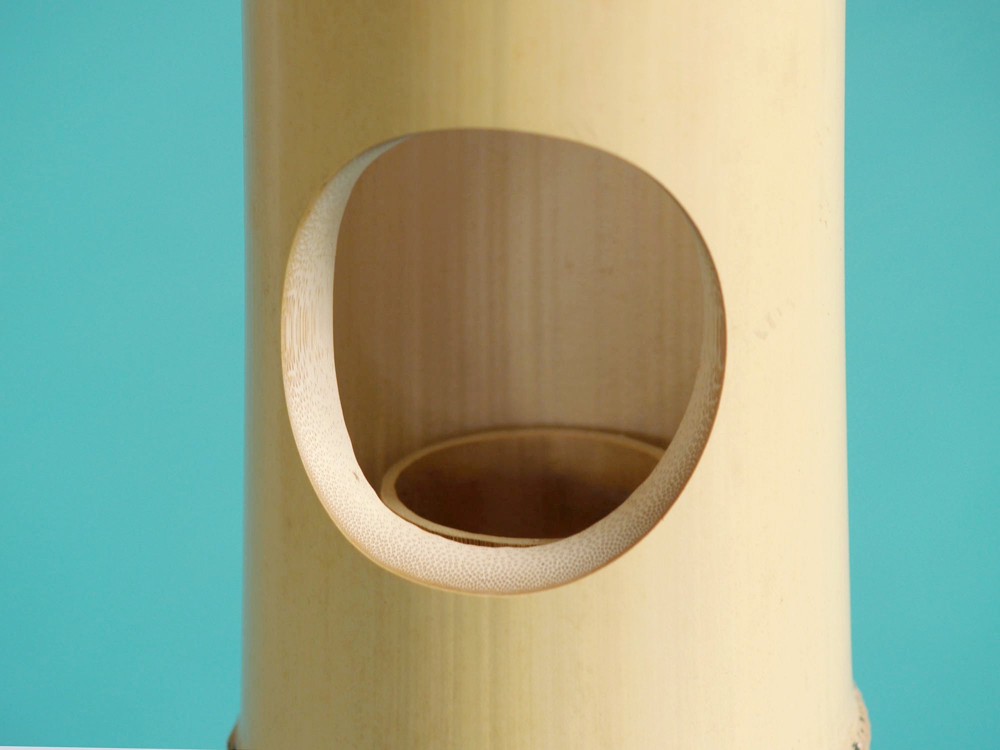 Takehanaire, vase en bambou pour la cérémonie du thé, Japon (Ère Shōwa)..Takehanaire, Bamboo flower vase for tea ceremony chabana, Japan (Shōwa era)