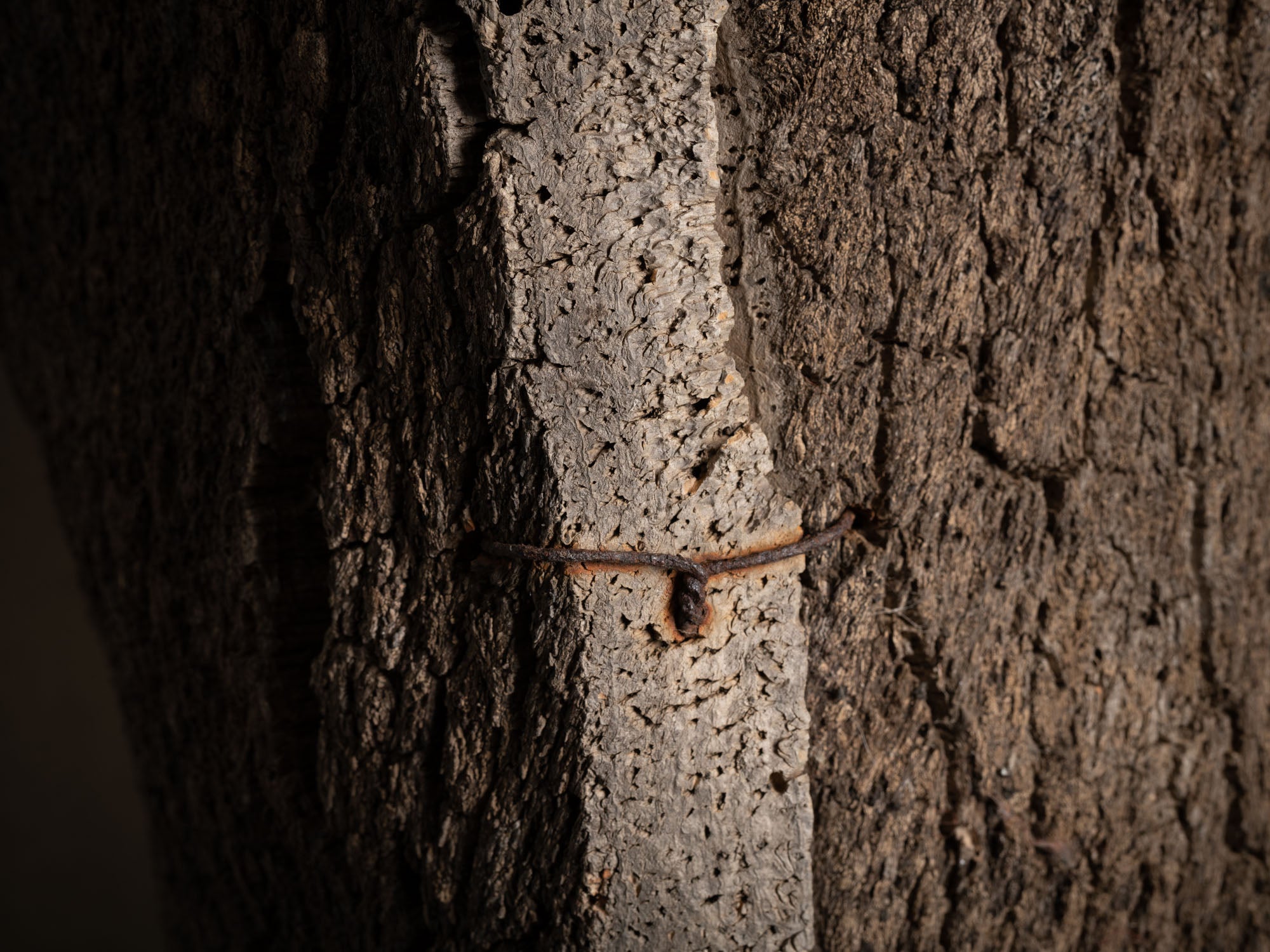 Ancienne ruche&#x2011;tronc en chêne liège monoxyle, Bassin méditerranéen (Fin du XIXe / début du XXe siècle)..Former cork hive trunk, Mediterranean area (End of the 19th / beginning of the 20th century)
