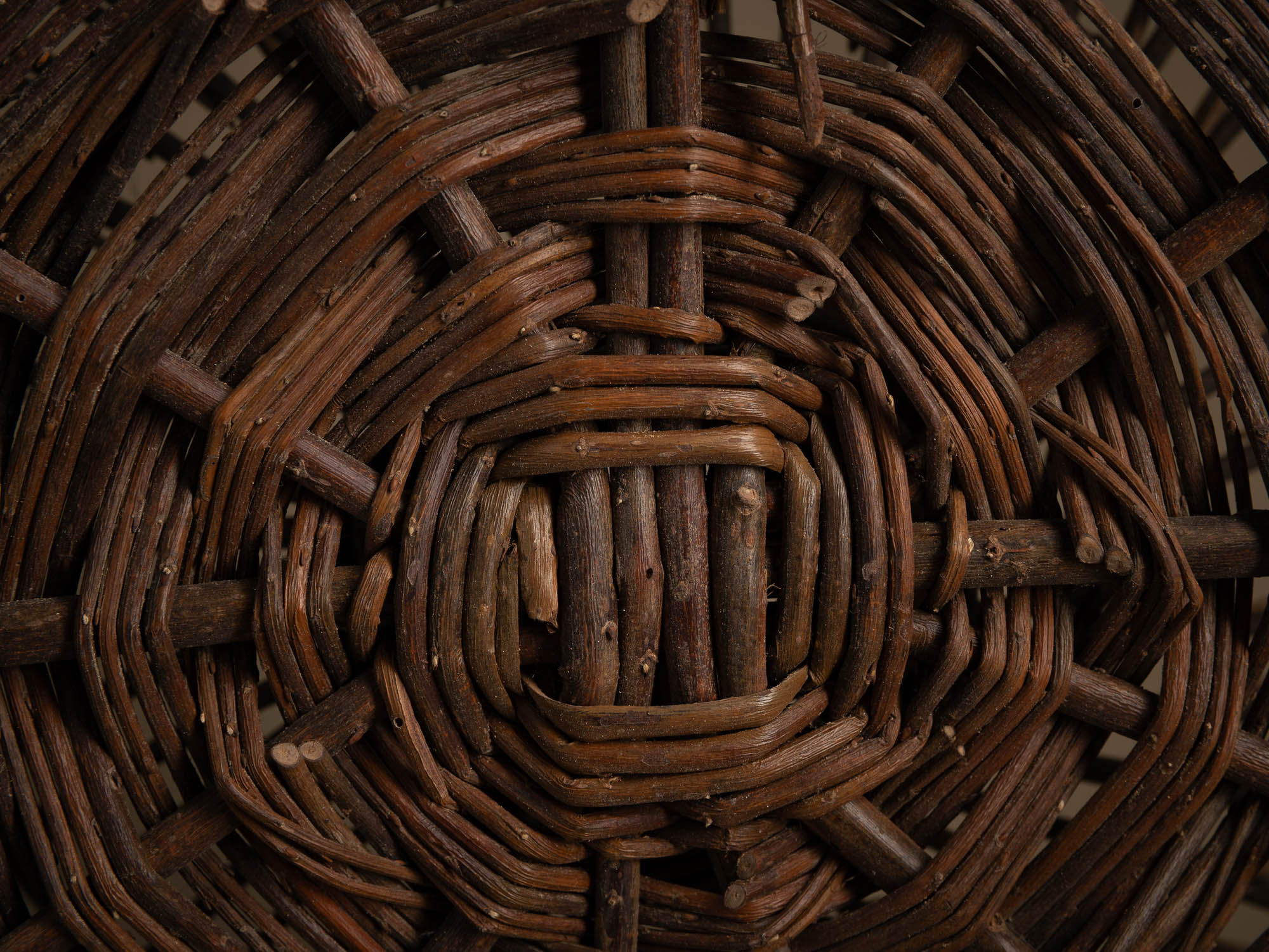 Remarquable nasse à oiseaux en osier, France (début du XXe siècle)..Amazing wicker bird trap, France (early 20th century)