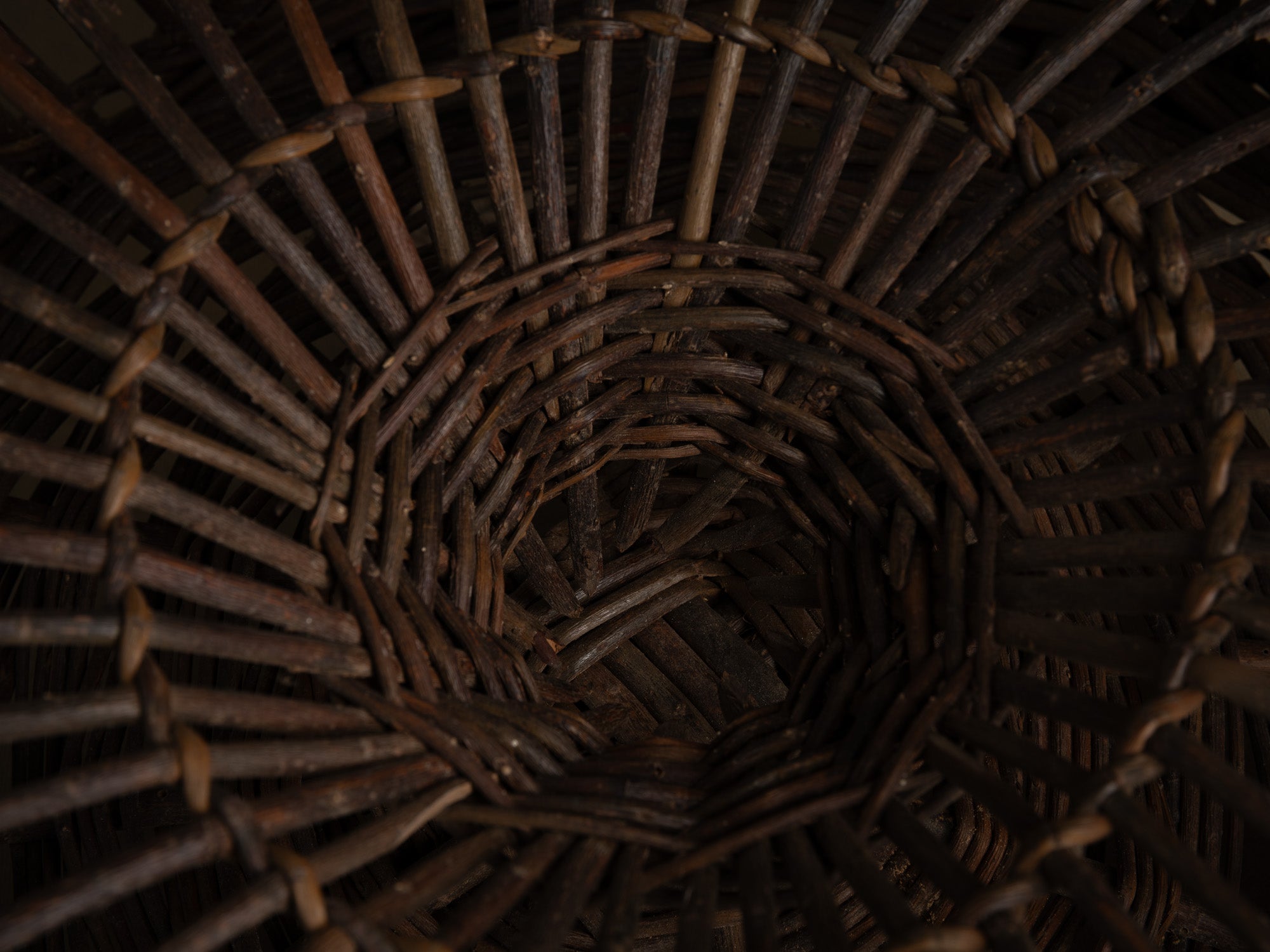 Remarquable nasse à oiseaux en osier, France (début du XXe siècle)..Amazing wicker bird trap, France (early 20th century)