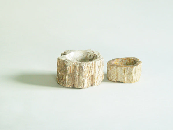 Ensemble de deux coupes en bois pétrifié, France (vers 1970)..Set of petrified wood bowls, France (circa 1970)