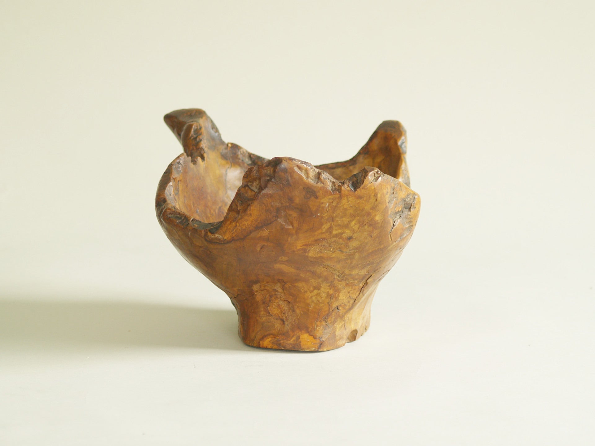 Mitate, Large coupe racinaire, France (vers 1950)..Mitate, Large olive tree roots carved bowl, France (circa 1950)
