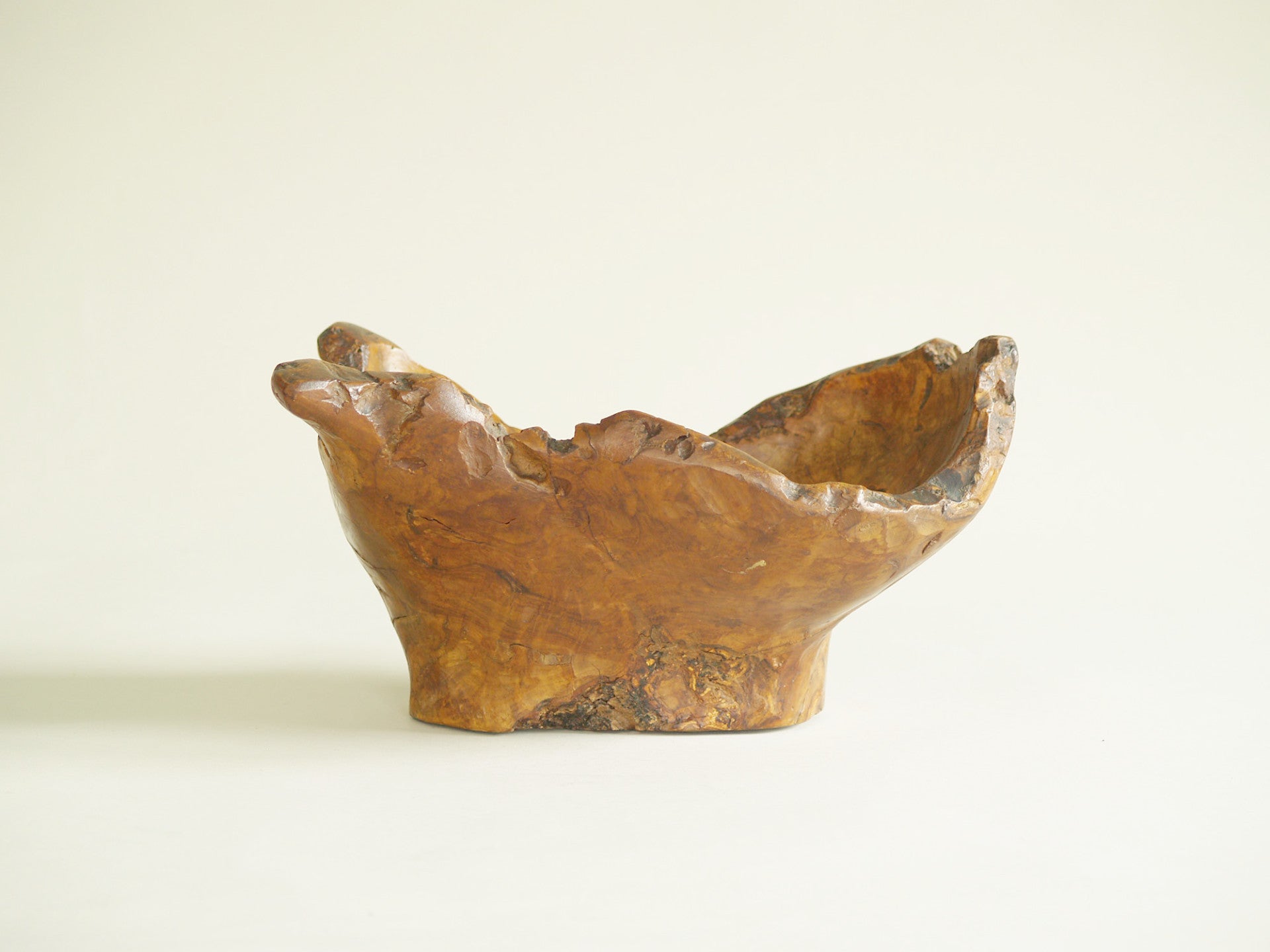 Mitate, Large coupe racinaire, France (vers 1950)..Mitate, Large olive tree roots carved bowl, France (circa 1950)