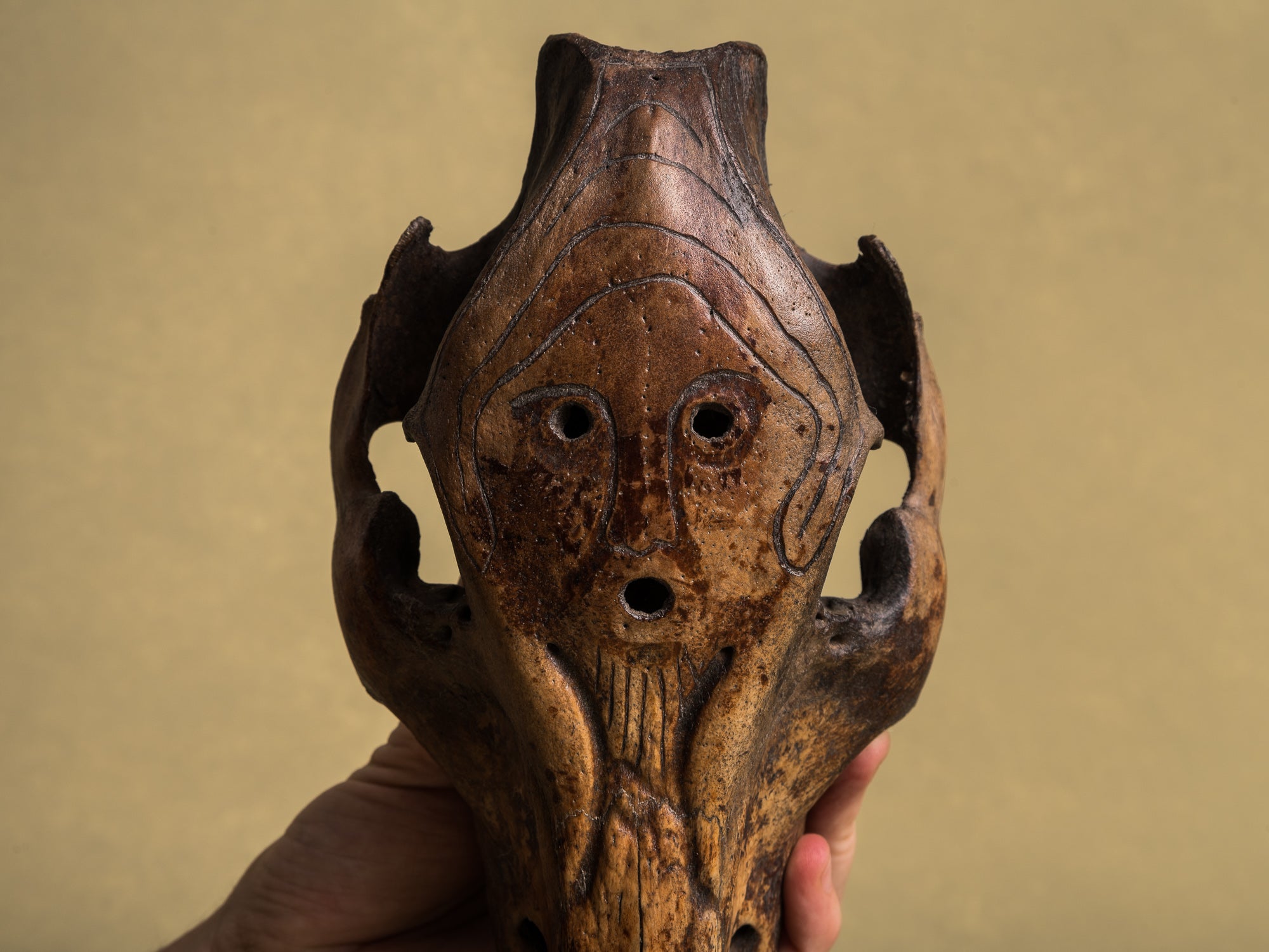 Masques&#x2011;crânes cérémoniels totémiques de l'ethnie Atoni, Timor occidental (XXe siècle)..Set of 5 ceremonial Atoni's totemic skull masks, West Timor (XXth century)