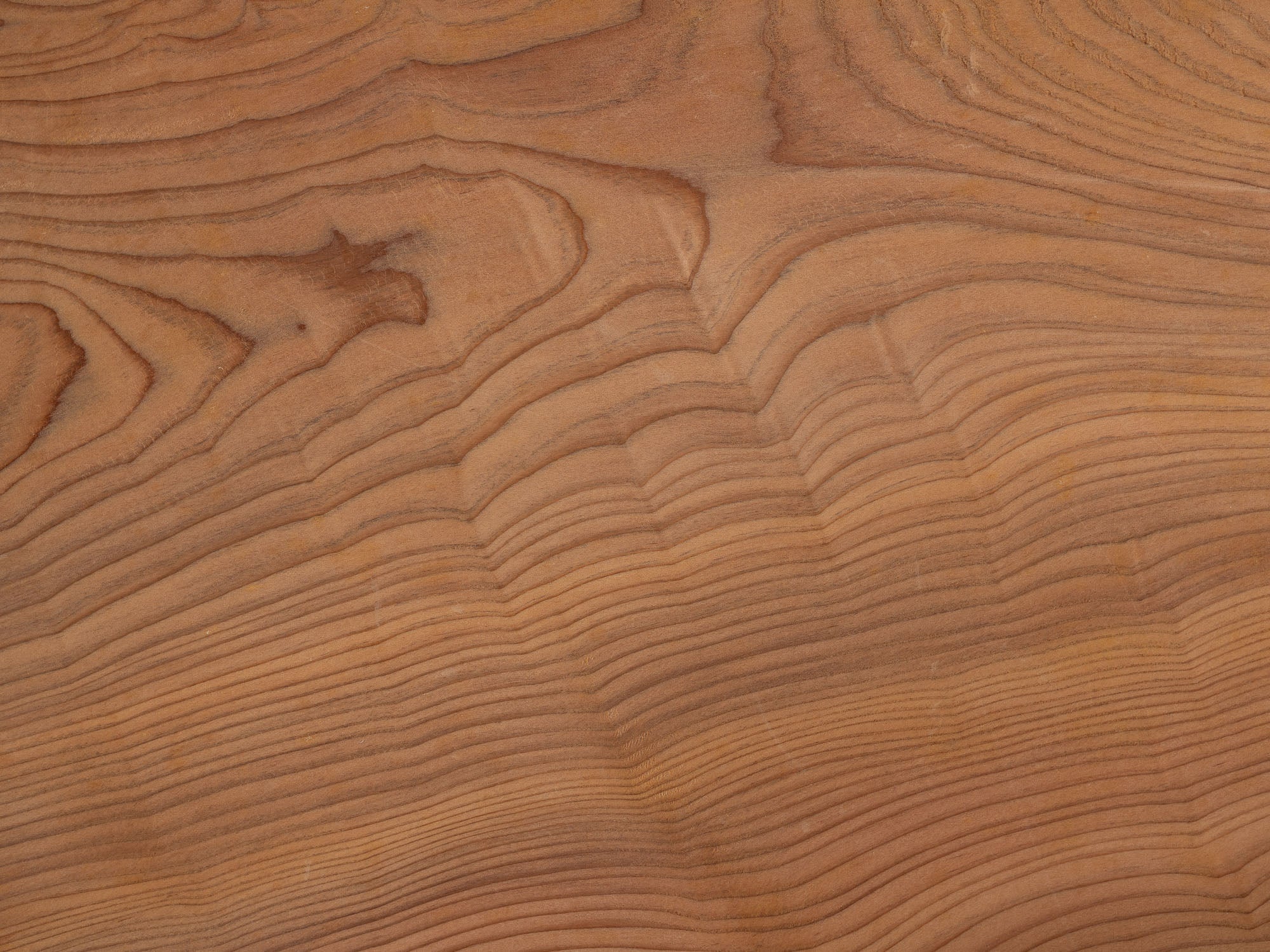 Plateau monoxyle senchabon en bois de cyprès, Japon (Fin de l'ère Showa)..Senchabon monoxyle tray in hinoki cypress wood, Japan (late Showa era)