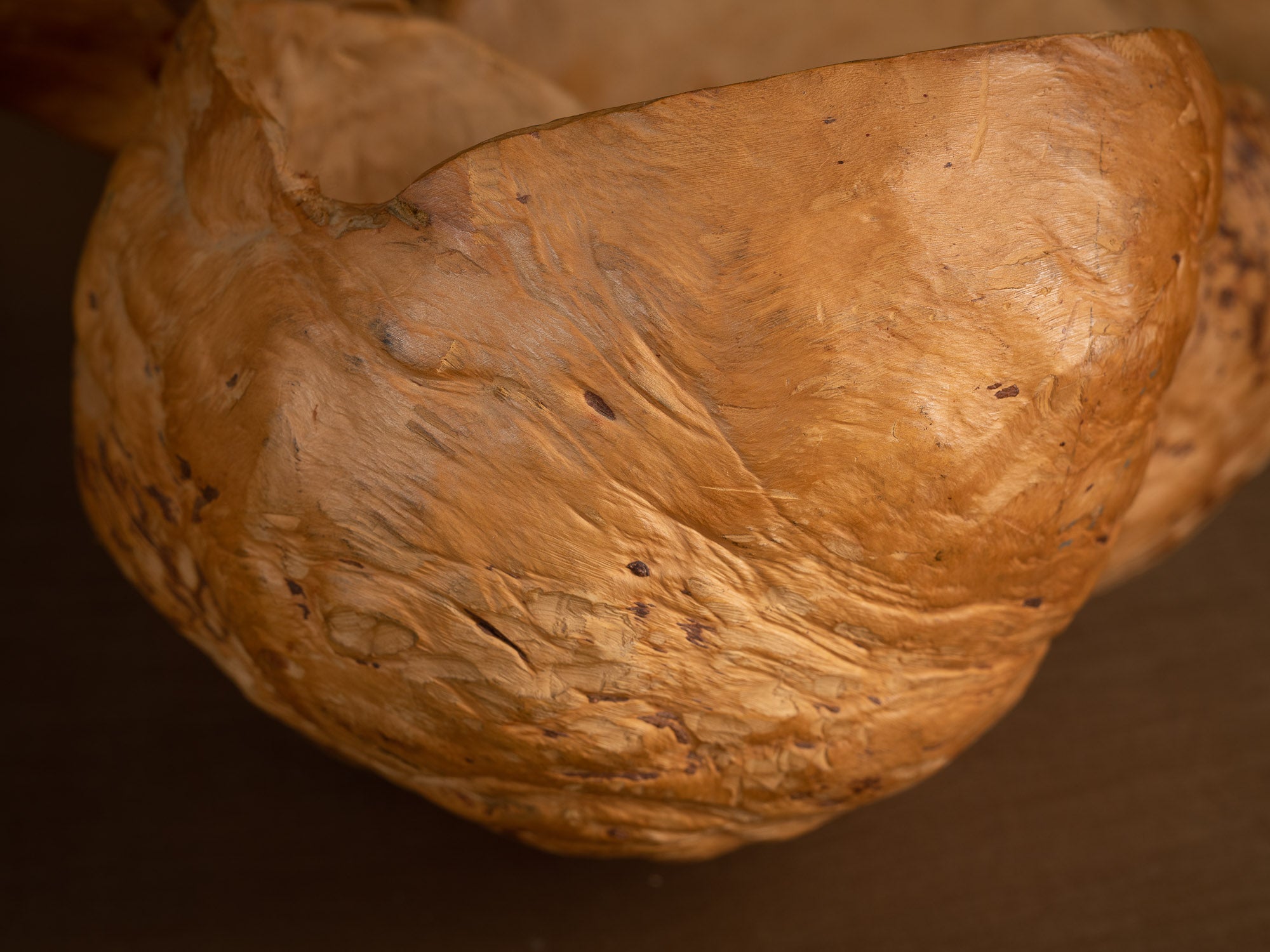 Immense coupe paysanne monoxyle en broussin de bouleau, Suède (milieu du XXe siècle)..Giant peasant birch burl bowl, Sweden (mid 20th century)